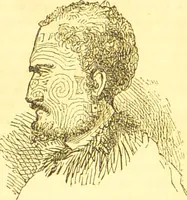 An illustration from Notes on noses / [by Eden Warwick [pseud.]]. (1857)