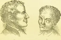 An illustration from The criminal / by Havelock Ellis. (1895)