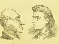 An illustration from The criminal / by Havelock Ellis. (1895)