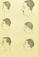 An illustration from The criminal / by Havelock Ellis. (1895)