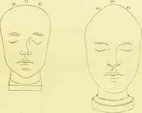 An illustration from Elements of phrenology / by George Combe. (1873)