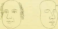 An illustration from Elements of phrenology / by George Combe. (1873)