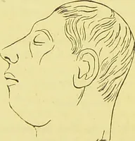 An illustration from Elements of phrenology / by George Combe. (1873)