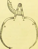 Picture 36 of 36 from Elements of phrenology / by George Combe. (1873), leaf 236