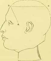 An illustration from Elements of phrenology / by George Combe. (1873)