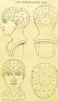 An illustration from Elements of phrenology / by George Combe. (1873)