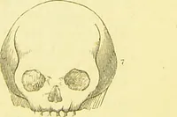An illustration from Elements of phrenology / by George Combe. (1873)