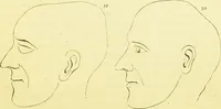 An illustration from Elements of phrenology / by George Combe. (1873)