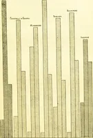 Picture 8 of 12 from The criminal / by Havelock Ellis. (1890), leaf 107
