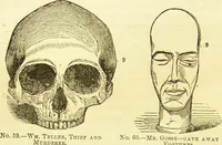 An illustration from New illustrated self-instructor in phrenology and physiology : together with the chart and character of ... as marked by ... / by O.S. and L.N. Fowler. (1877)