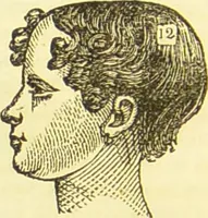 Picture 36 of 58 from New illustrated self-instructor in phrenology and physiology : together with the chart and character of ... as marked by ... / by O.S. and L.N. Fowler. (1877), leaf 112