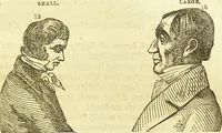An illustration from New illustrated self-instructor in phrenology and physiology : together with the chart and character of ... as marked by ... / by O.S. and L.N. Fowler. (1877)