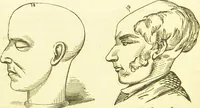 An illustration from New illustrated self-instructor in phrenology and physiology : together with the chart and character of ... as marked by ... / by O.S. and L.N. Fowler. (1877)