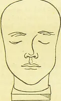 An illustration from New illustrated self-instructor in phrenology and physiology : together with the chart and character of ... as marked by ... / by O.S. and L.N. Fowler. (1877)
