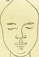 An illustration from New illustrated self-instructor in phrenology and physiology : together with the chart and character of ... as marked by ... / by O.S. and L.N. Fowler. (1877)