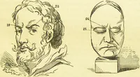 An illustration from New illustrated self-instructor in phrenology and physiology : together with the chart and character of ... as marked by ... / by O.S. and L.N. Fowler. (1877)