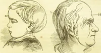 An illustration from New illustrated self-instructor in phrenology and physiology : together with the chart and character of ... as marked by ... / by O.S. and L.N. Fowler. (1877)