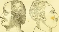 An illustration from New illustrated self-instructor in phrenology and physiology : together with the chart and character of ... as marked by ... / by O.S. and L.N. Fowler. (1877)