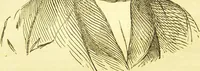Picture 4 of 58 from New illustrated self-instructor in phrenology and physiology : together with the chart and character of ... as marked by ... / by O.S. and L.N. Fowler. (1877), leaf 24