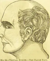 Picture 14 of 58 from New illustrated self-instructor in phrenology and physiology : together with the chart and character of ... as marked by ... / by O.S. and L.N. Fowler. (1877), leaf 54