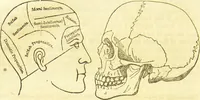 An illustration from New illustrated self-instructor in phrenology and physiology : together with the chart and character of ... as marked by ... / by O.S. and L.N. Fowler. (1877)