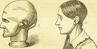 An illustration from New illustrated self-instructor in phrenology and physiology : together with the chart and character of ... as marked by ... / by O.S. and L.N. Fowler. (1877)