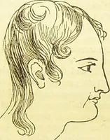 An illustration from New illustrated self-instructor in phrenology and physiology : together with the chart and character of ... as marked by ... / by O.S. and L.N. Fowler. (1877)