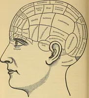 Picture 40 of 40 from How to teach according to temperament and mental development or : Phrenology in the school-room and the family / by Nelson Sizer. (1877), leaf 330