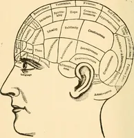 An illustration from Key to phrenology / by Prof. Wm. Seymour, practical phrenologist & psychologist, of Philadelphia. (1890)