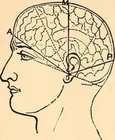An illustration from Key to phrenology / by Prof. Wm. Seymour, practical phrenologist & psychologist, of Philadelphia. (1890)