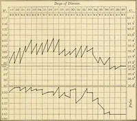 Picture 162 of 203 from Pediatrics : the hygienic and medical treatment of children / by Thomas Morgan Rotch. (1898), leaf 1055