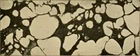An illustration from Pediatrics : the hygienic and medical treatment of children / by Thomas Morgan Rotch. (1898)