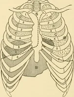 Picture 181 of 203 from Pediatrics : the hygienic and medical treatment of children / by Thomas Morgan Rotch. (1898), leaf 1134