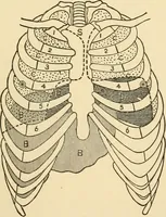 An illustration from Pediatrics : the hygienic and medical treatment of children / by Thomas Morgan Rotch. (1898)
