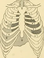 Picture 183 of 203 from Pediatrics : the hygienic and medical treatment of children / by Thomas Morgan Rotch. (1898), leaf 1136
