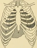 Picture 185 of 203 from Pediatrics : the hygienic and medical treatment of children / by Thomas Morgan Rotch. (1898), leaf 1138