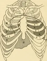 An illustration from Pediatrics : the hygienic and medical treatment of children / by Thomas Morgan Rotch. (1898)
