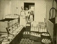 Picture 46 of 203 from Pediatrics : the hygienic and medical treatment of children / by Thomas Morgan Rotch. (1898), leaf 278