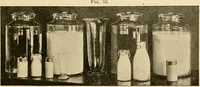 An illustration from Pediatrics : the hygienic and medical treatment of children / by Thomas Morgan Rotch. (1898)