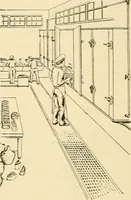 Picture 53 of 203 from Pediatrics : the hygienic and medical treatment of children / by Thomas Morgan Rotch. (1898), leaf 286