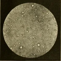 An illustration from Pediatrics : the hygienic and medical treatment of children / by Thomas Morgan Rotch. (1898)