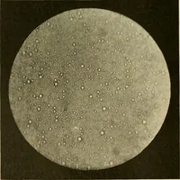 An illustration from Pediatrics : the hygienic and medical treatment of children / by Thomas Morgan Rotch. (1898)