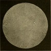 An illustration from Pediatrics : the hygienic and medical treatment of children / by Thomas Morgan Rotch. (1898)