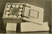 Picture 59 of 203 from Pediatrics : the hygienic and medical treatment of children / by Thomas Morgan Rotch. (1898), leaf 295