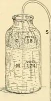 An illustration from Pediatrics : the hygienic and medical treatment of children / by Thomas Morgan Rotch. (1898)