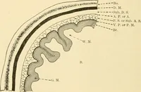 An illustration from Pediatrics : the hygienic and medical treatment of children / by Thomas Morgan Rotch. (1898)
