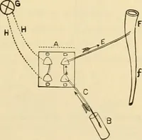 An illustration from Pediatrics : the hygienic and medical treatment of children / by Thomas Morgan Rotch. (1898)