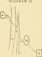 An illustration from Pediatrics : the hygienic and medical treatment of children / by Thomas Morgan Rotch. (1898)
