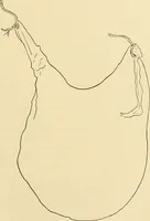 An illustration from Pediatrics : the hygienic and medical treatment of children / by Thomas Morgan Rotch. (1898)