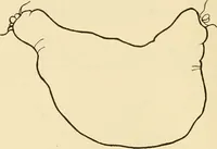 An illustration from Pediatrics : the hygienic and medical treatment of children / by Thomas Morgan Rotch. (1898)